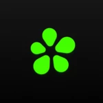 Logo of ICQ android Application 